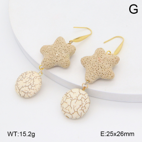 2E4004938ablb-212  Stainless Steel Earrings