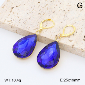 2E4004939bbov-212  Stainless Steel Earrings