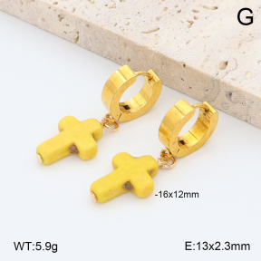 2E4004940ablb-212  Stainless Steel Earrings