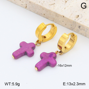 2E4004941ablb-212  Stainless Steel Earrings