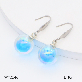 2E4004942baka-212  Stainless Steel Earrings