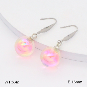 2E4004943baka-212  Stainless Steel Earrings