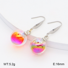 2E4004945baka-212  Stainless Steel Earrings