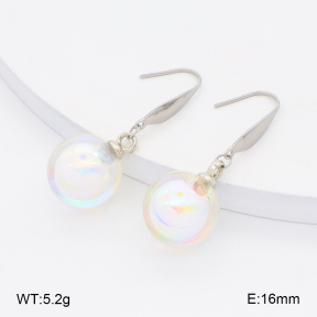 2E4004946baka-212  Stainless Steel Earrings