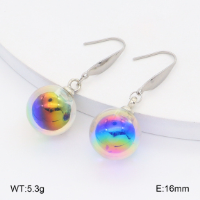 2E4004947baka-212  Stainless Steel Earrings