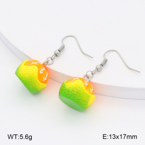 2E4004948baka-212  Stainless Steel Earrings