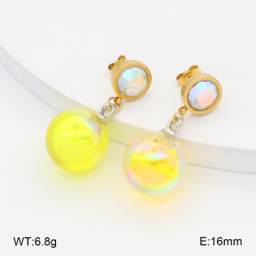 2E4004949bbov-212  Stainless Steel Earrings
