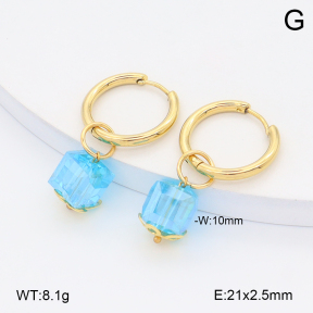 2E4004950ablb-212  Stainless Steel Earrings