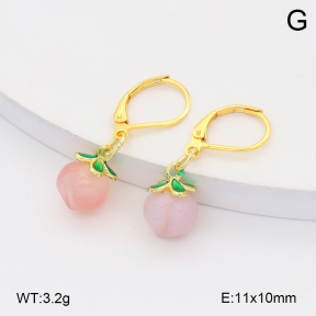 2E4004951bhia-212  Stainless Steel Earrings