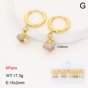 2E4004952ajvb-212  Stainless Steel Earrings