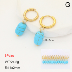 2E4004953ajvb-212  Stainless Steel Earrings