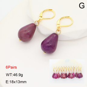 2E4004954ajvb-212  Stainless Steel Earrings