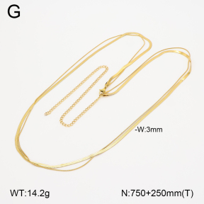 2N2008670vbpb-749  Stainless Steel Necklace