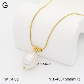2N3003265ablb-212  Stainless Steel Necklace