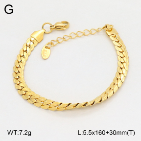 2B2005496vbll-775  Stainless Steel Bracelet
