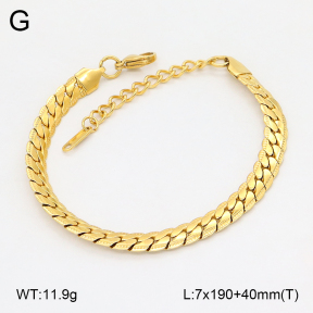 2B2005499vbmb-775  Stainless Steel Bracelet