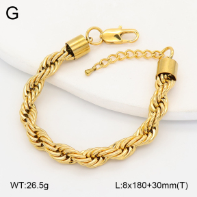 2B2005532vhmv-775  Stainless Steel Bracelet