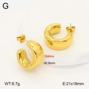 2E2006897bhbl-649  Stainless Steel Earrings