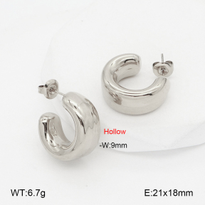 2E2006898bvpl-649  Stainless Steel Earrings