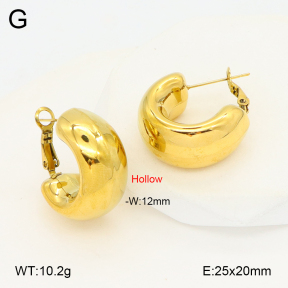 2E2006899bhil-649  Stainless Steel Earrings