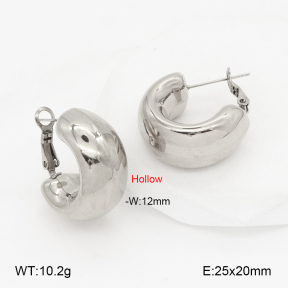 2E2006900bhva-649  Stainless Steel Earrings