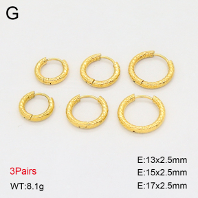 2E2006901bhbl-649  Stainless Steel Earrings