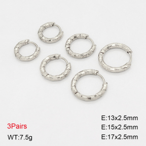 2E2006904vbnl-649  Stainless Steel Earrings