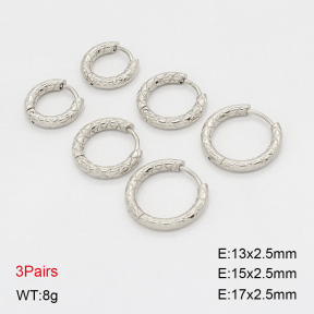 2E2006906vbnl-649  Stainless Steel Earrings