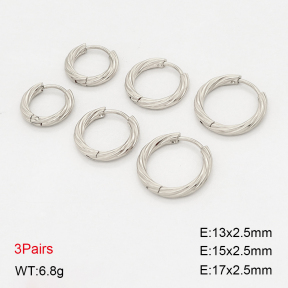 2E2006908vbnl-649  Stainless Steel Earrings