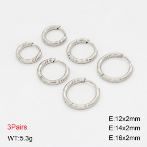 2E2006910vbnl-649  Stainless Steel Earrings