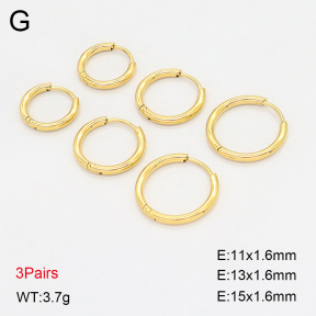 2E2006911bhia-649  Stainless Steel Earrings