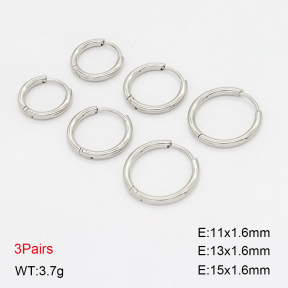 2E2006912vbpb-649  Stainless Steel Earrings