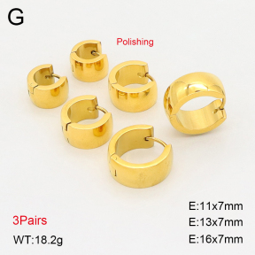 2E2006913bhia-649  Stainless Steel Earrings