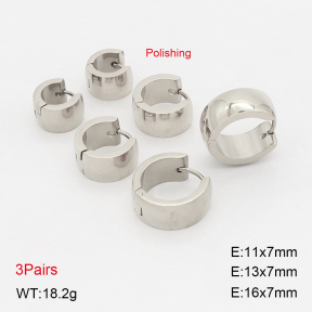 2E2006914bvpl-649  Stainless Steel Earrings