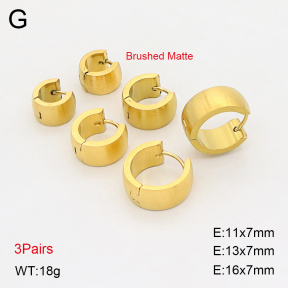 2E2006915ahlv-649  Stainless Steel Earrings