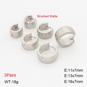 2E2006916bhia-649  Stainless Steel Earrings