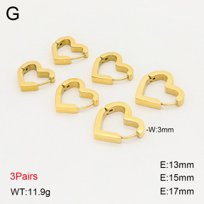 2E2006917ahlv-649  Stainless Steel Earrings