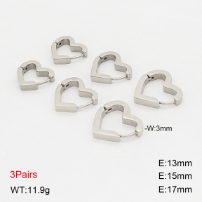 2E2006918ahjb-649  Stainless Steel Earrings