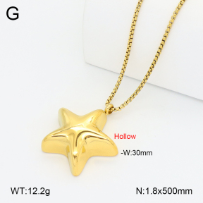 2N2008842bhia-649  Stainless Steel Necklace