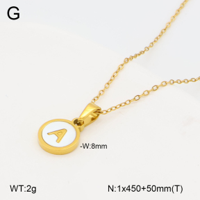 2N3003305vbll-743  Stainless Steel Necklace