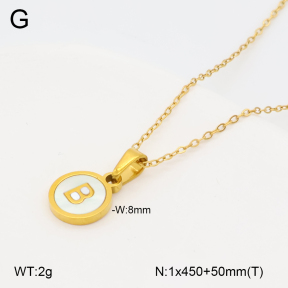 2N3003306vbll-743  Stainless Steel Necklace