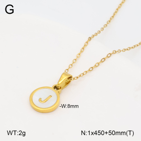 2N3003314vbll-743  Stainless Steel Necklace