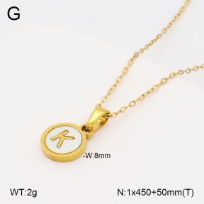 2N3003315vbll-743  Stainless Steel Necklace