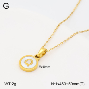 2N3003321vbll-743  Stainless Steel Necklace