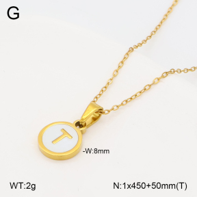 2N3003324vbll-743  Stainless Steel Necklace