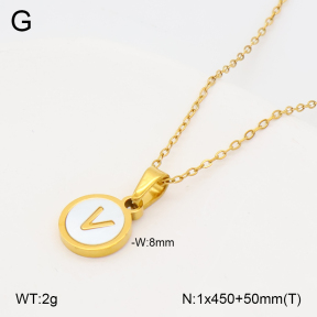 2N3003326vbll-743  Stainless Steel Necklace