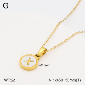 2N3003328vbll-743  Stainless Steel Necklace