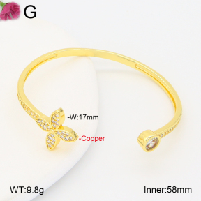 F2BA40932vhha-J201  Fashion Copper Bangle