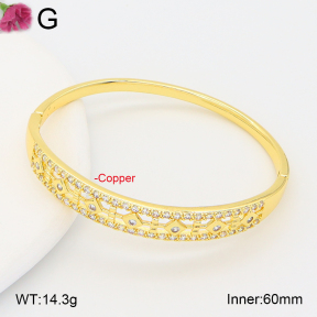 F2BA40942vhha-J201  Fashion Copper Bangle
