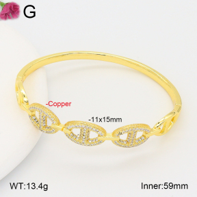 F2BA40948vhkb-J201  Fashion Copper Bangle